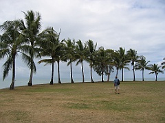 CairnsTC436 Port Douglas